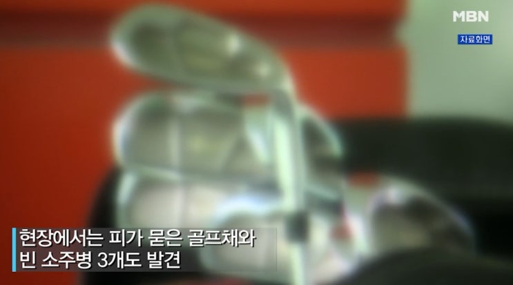 '아내 골프채 살해' 유승현 전 김포시 의회 의장 징역 15년→7년 감형 "살인 고의 없었다" '아내 골프채 살해' 유승현 전 김포시 의회 의장 징역 15년→7년 감형 "살인 고의 없었다"