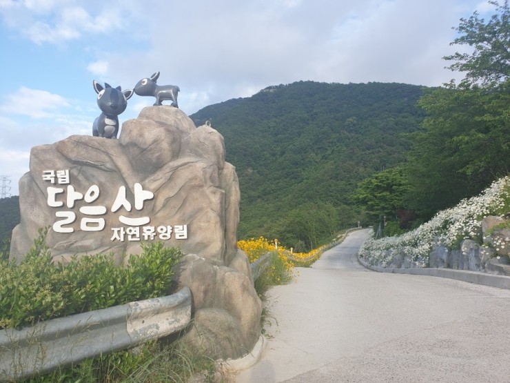  기장8경 달음산 등정기