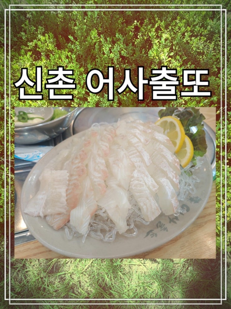  신촌 횟집 어사출또에서 혼술