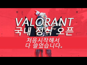 발로란트(VALORANT) 오버워치? 카스? 모르겠고 처음시작해서 다 쓸어버렸습니다.