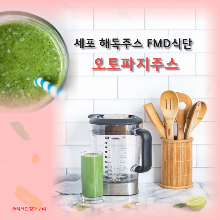 세포 해독주스 FMD식단, 오토파지?