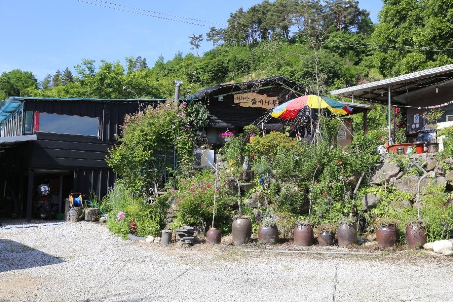 지리산감비나무 사진 1