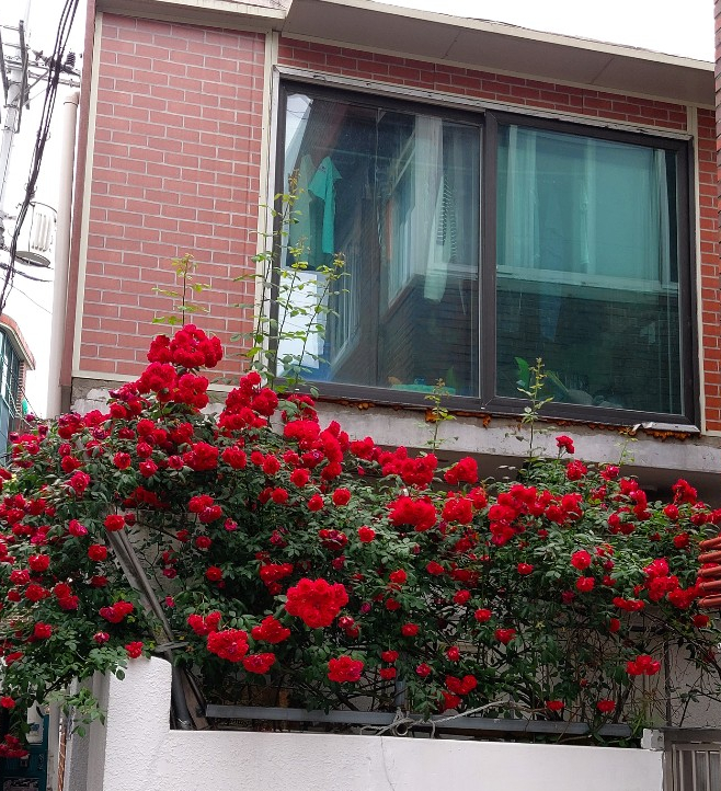  살아있음에 감사하다.