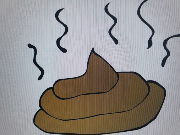  큰똥꿈, 변기에똥꿈, 바지에똥싸는꿈 외 기타해석