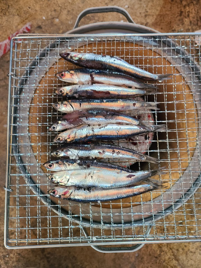  기장대변항 멸치젓갈과 멸치구이