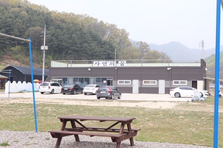  파주캠핑장 서울근교캠핑장 자연의꿈 오토캠핑장/ 코베아텐트 with 코베아고스트텐트
