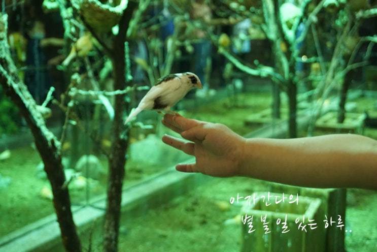  경주 보문단지 애니멀 테마파크 주렁주렁 실내 동물원