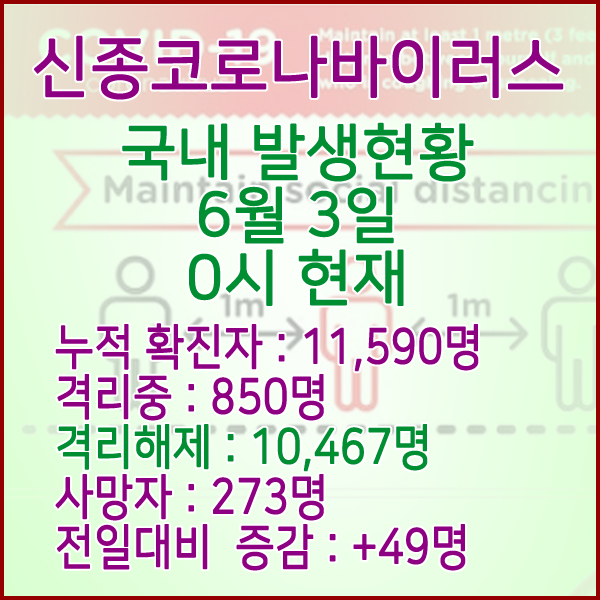  코로나19(코로나바이러스) 6월 3일 0시 국내 발병 11,590명 / 10,467명 완치 격리해제 / 사망자 273명