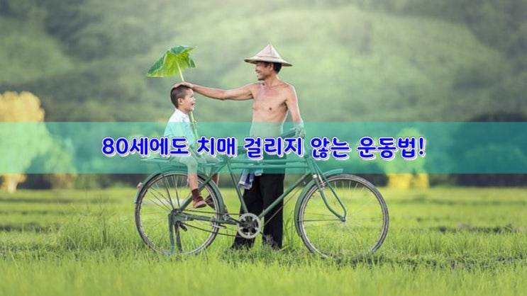 80세에도 치매 걸리지 않는 운동법! 80세에도 치매 걸리지 않는 운동법!