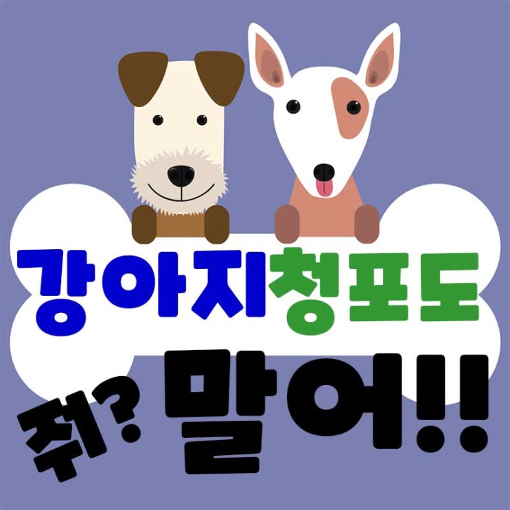  강아지 청포도 급여해도될까? 하지말아야하는 이유