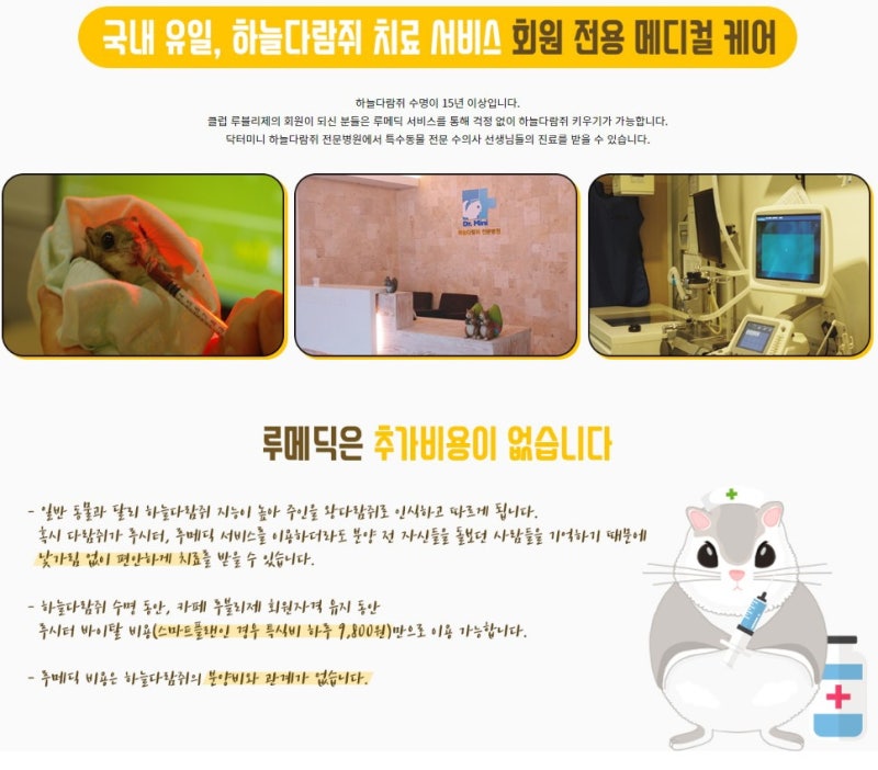 하늘다람쥐 분양 받는 방법, 주의 사항과 꿀팁! : 네이버 블로그