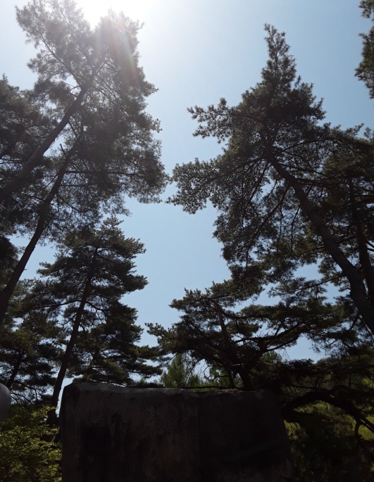  [사마천의 사기읽기]효문제의 총애를 받은 등통