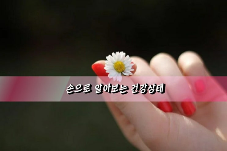 손으로 알아보는 건강상태 손으로 알아보는 건강상태