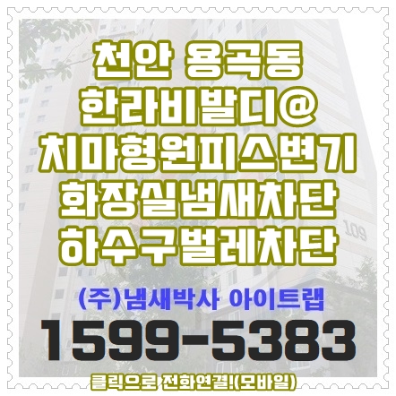  천안화장실냄새차단 하수구벌레 변기 정화조냄새