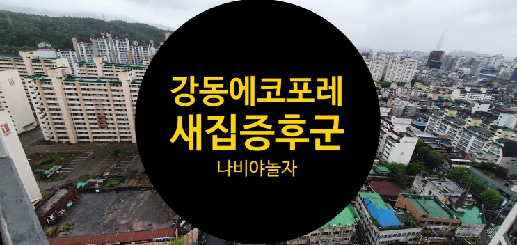  [나비야놀자] 이편한세상 강동에코포레아파트 새집증후군 제거 시공사례