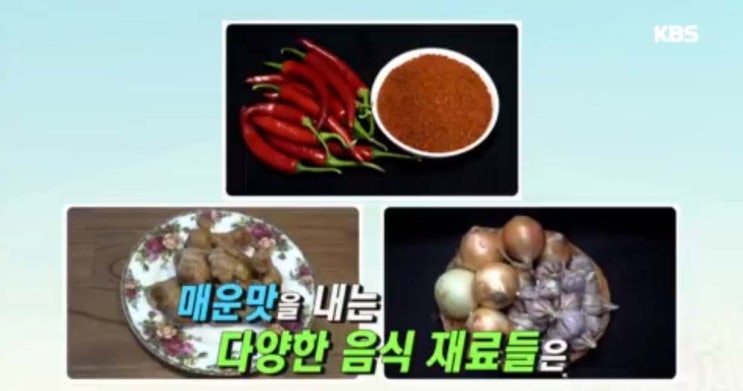  매운맛에 대한 오해와 진실 효과적인 섭취법, 생강, 계피, 고추 - 무엇이든 물어보세요