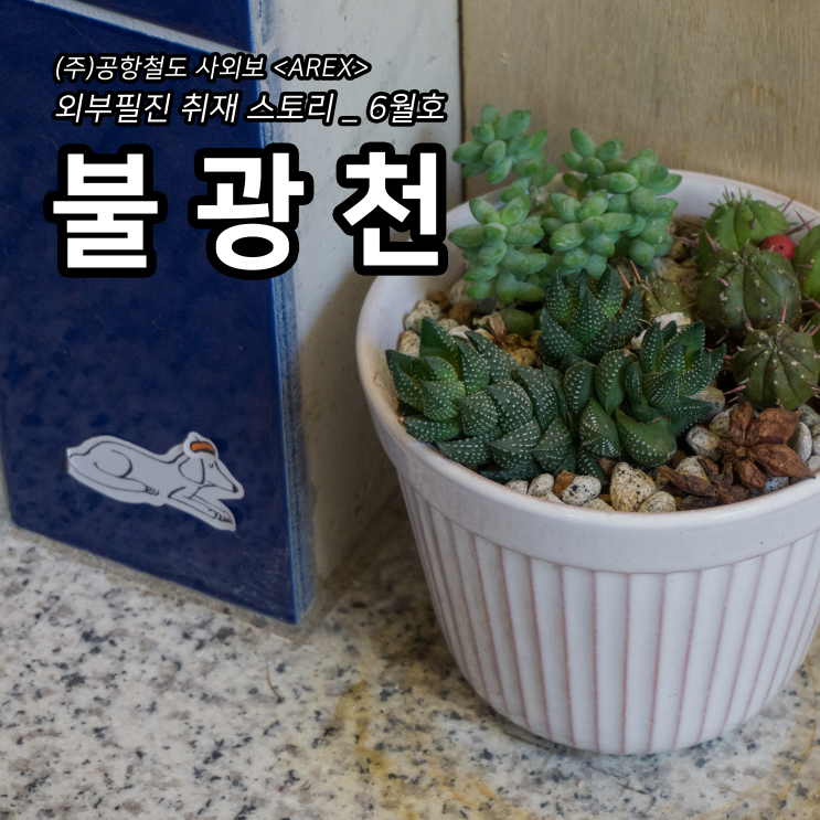  [AREX] 불광천 취재 이야기