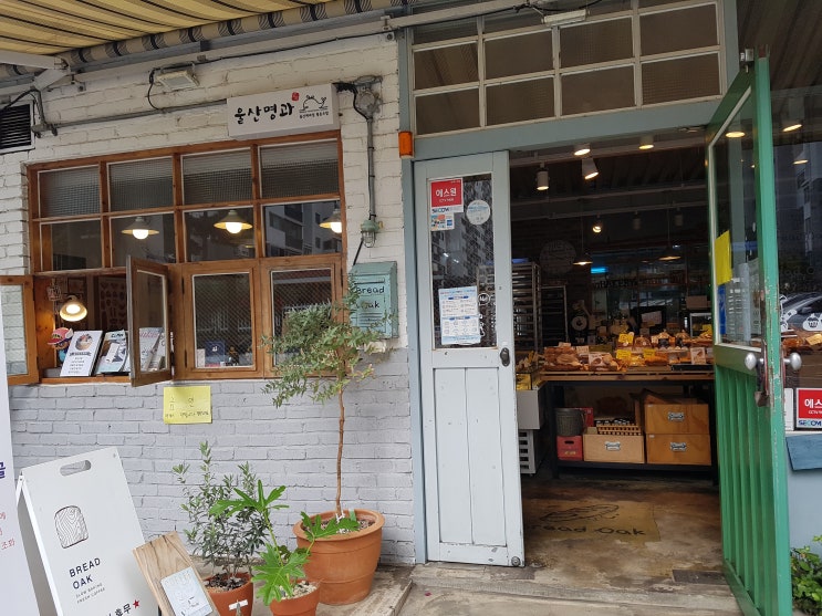  울산 삼산 빵 맛집/인생 빵집 : 브레드오크