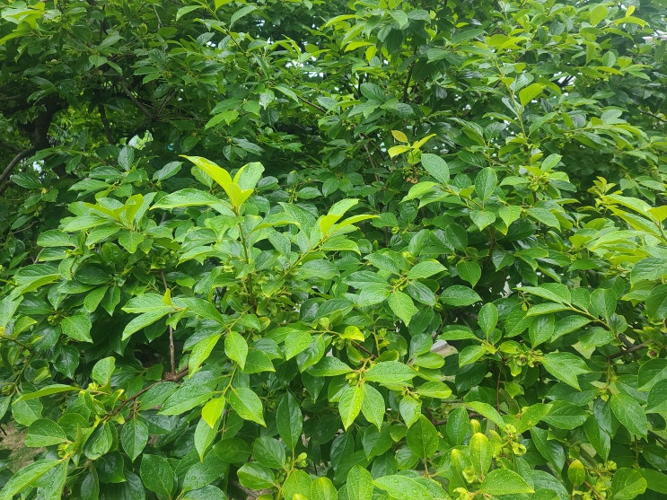  [6일차] 좋은 습관 만들기 프로젝트