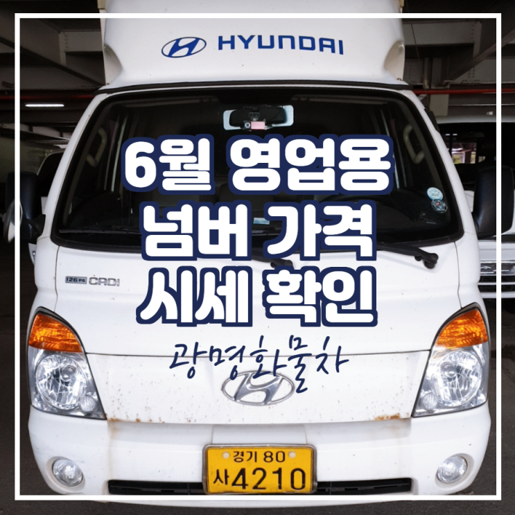  6월 영업용 번호판 시세확인