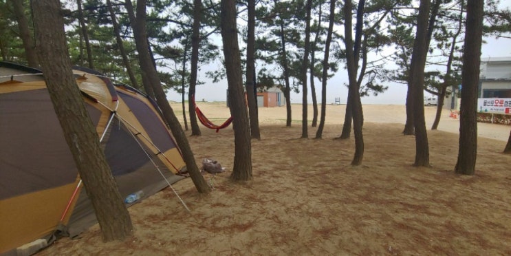  몽산포오션캠핑장에서 1박2일