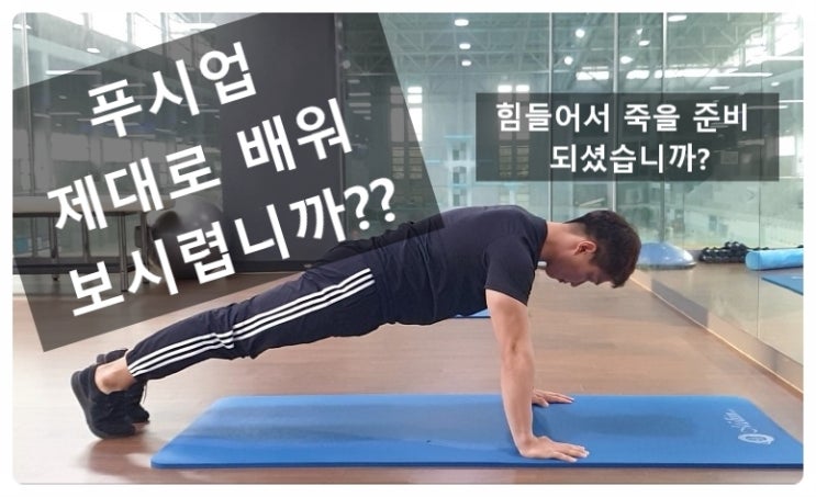 (수원헬스장)푸시업pushup 제대로 한번 해보자!