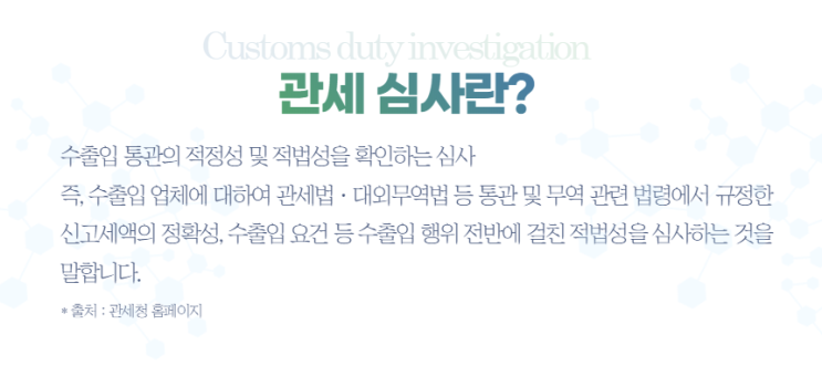  [THE Service] 관세 심사의 개념 (법인심사, 기획심사)