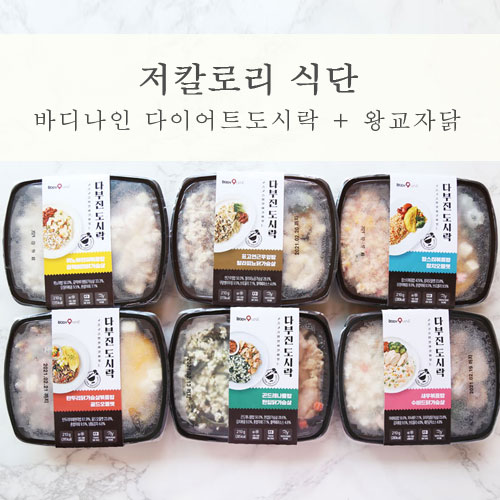  저칼로리 식단 든든한 바디나인 도시락 & 왕교자닭