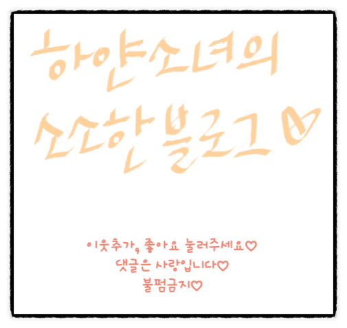  하트시카쿠션 블로그체험단 신청!!