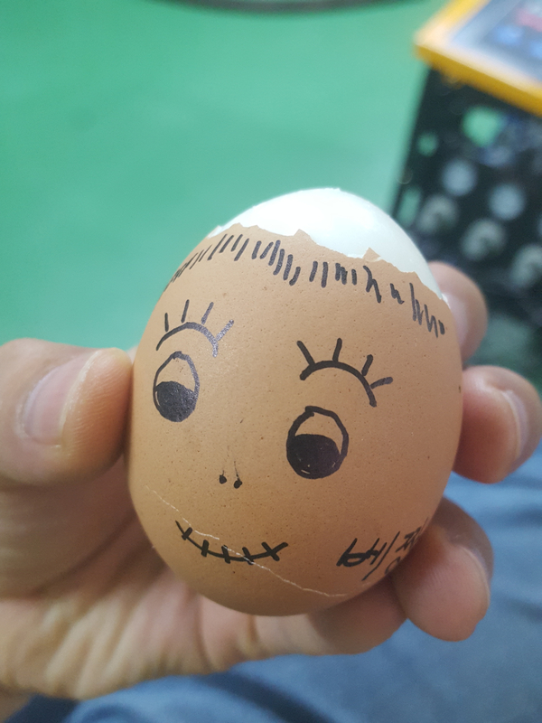  달걀 계란 효능 / 부작용
