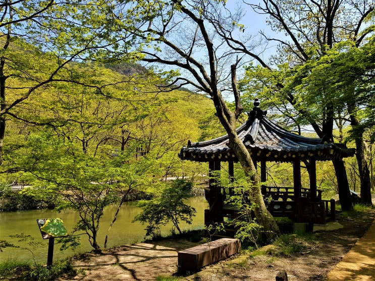 전북 가볼만한곳 고창 선운산에 있는 상도솔암/내원궁