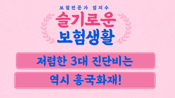  흥국화재 진단비 입원비플랜