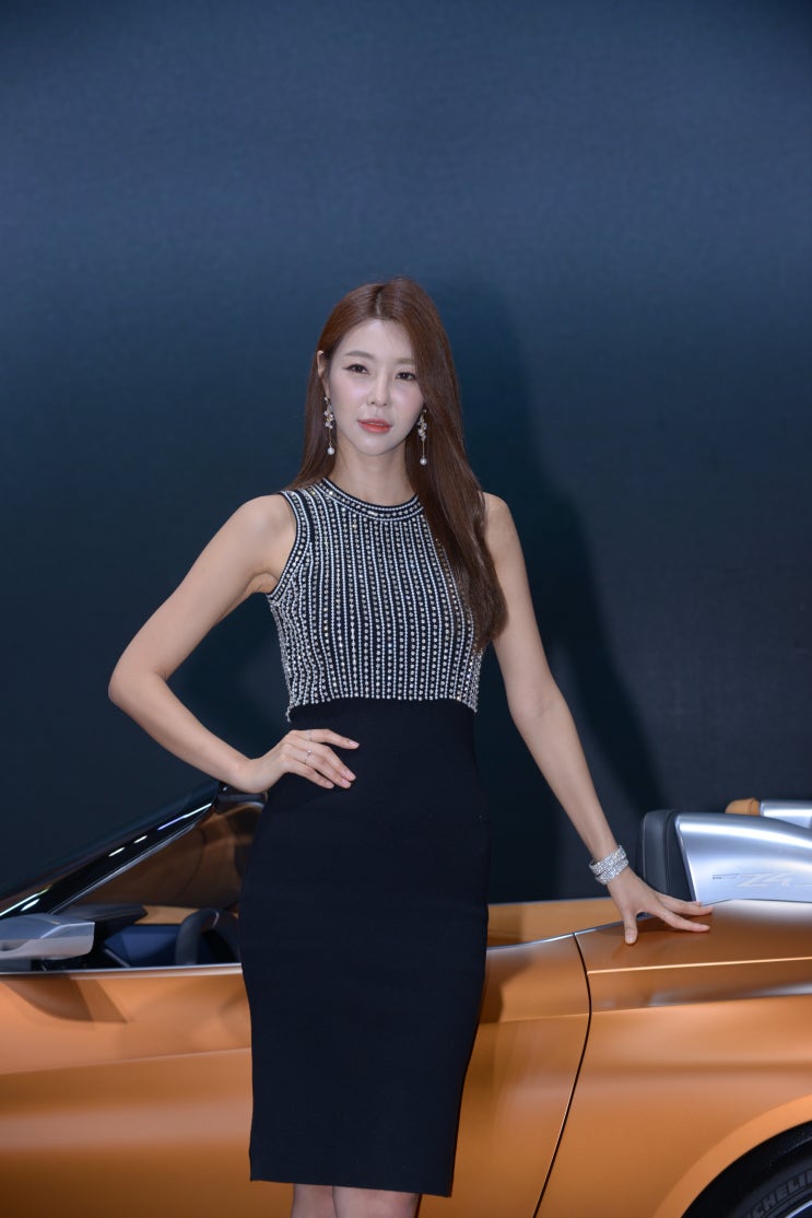 취소된 부산모터쇼.... 지난 2018부산모터쇼....