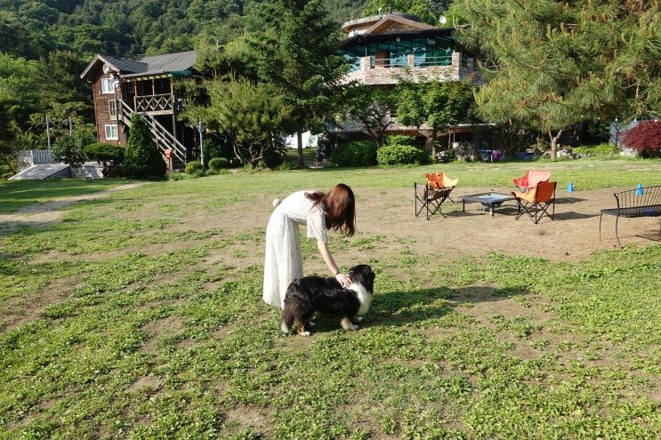  가평 애견펜션 네이처스토리펜션에서 마리와 함께 즐거운 1박 2일!