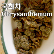 [Korean Teatime] 국화차, 감국차 Chrysanthemum
