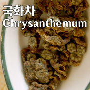  [Korean Teatime] 국화차, 감국차 Chrysanthemum