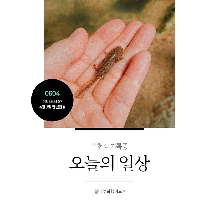 잘 자랐구나, 너도 나도 잘 자랐구나, 너도 나도