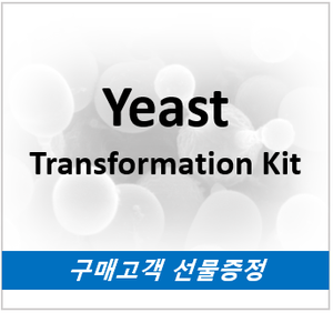 [프로모션] Yeast Transformation Kit