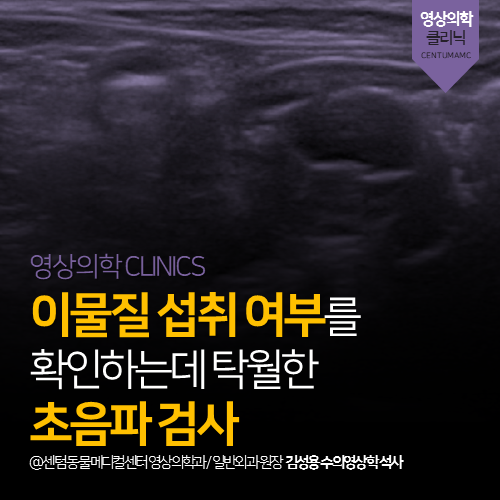  [영상의학과] 강아지 고양이 이물질 섭취 여부를 확인하는데 탁월한 초음파 검사 (부산 연제구 거제동 연산동 영상진단 전문 동물병원)