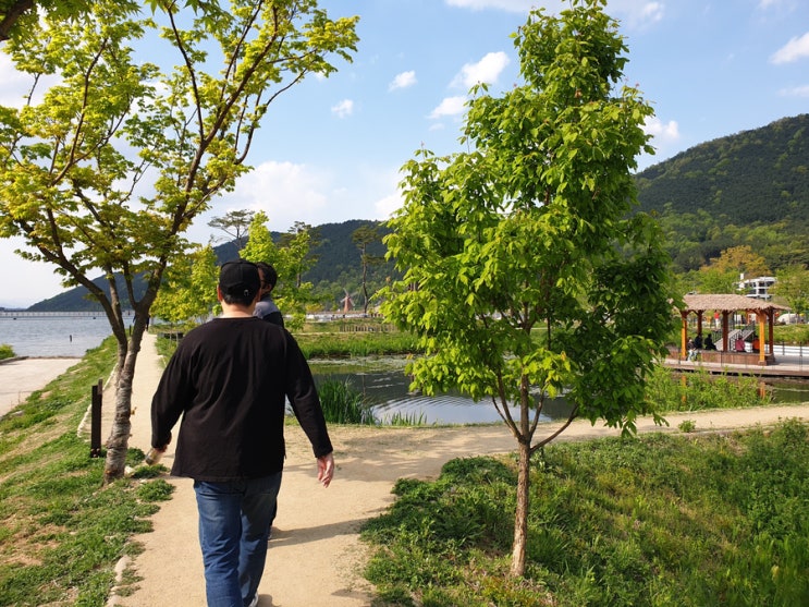  달성군 가볼만한 곳, 송해공원 옥연지 금굴을 아시나요?