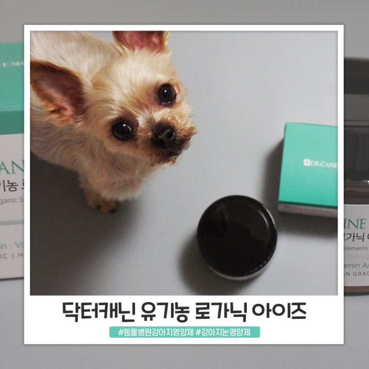 동물병원 강아지영양제 눈에 좋은 닥터캐닌 유기농 로가닉 아이즈 동물병원 강아지영양제 눈에 좋은 닥터캐닌 유기농 로가닉 아이즈