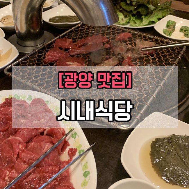  [광양맛집] 시내식당