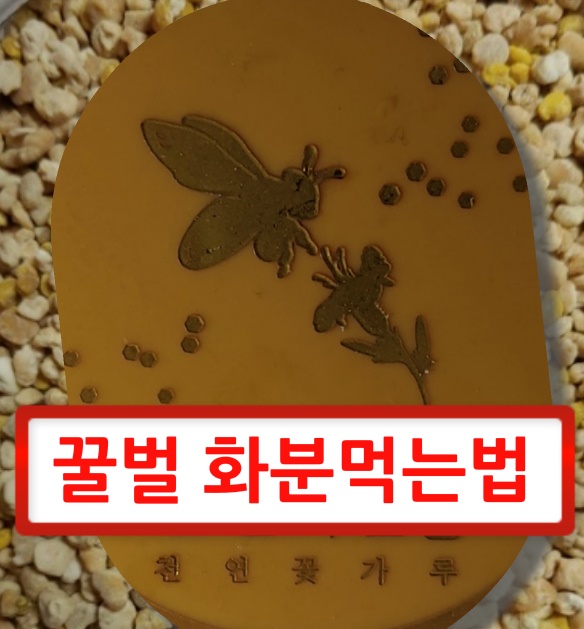  꿀벌화분 먹는법 꿀벌화분먹는법 알아봅니다.