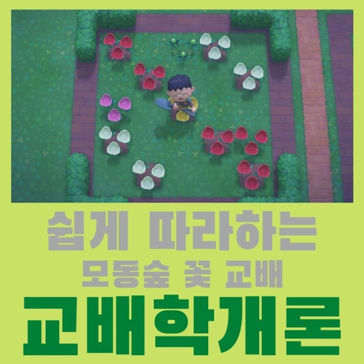  모여봐요 동물의 숲 모동숲 꽃 교배 한눈에 보는 교배식과 꽃밭 운영방법