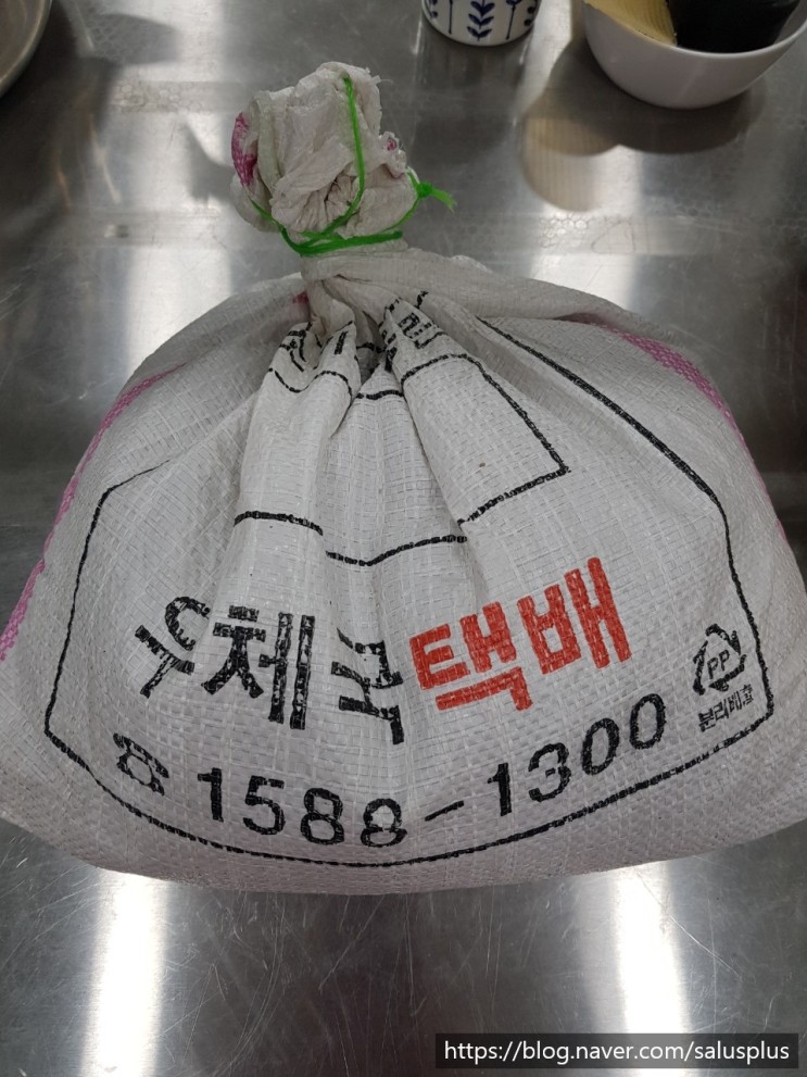 해운대주간보호(살루스플러스데이케어) - 콩나물 재배기 2탄!