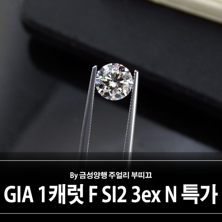 GIA 1.01캐럿 F SI2 3ex None 다이아몬드 나석 추천 GIA 1.01캐럿 F SI2 3ex None 다이아몬드 나석 추천