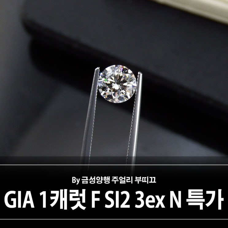 GIA 1.01캐럿 F SI2 3ex None 다이아몬드 나석 추천