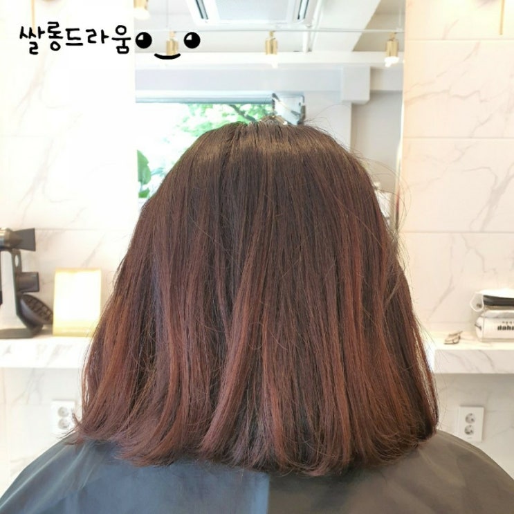  웜브라운 전체염색
