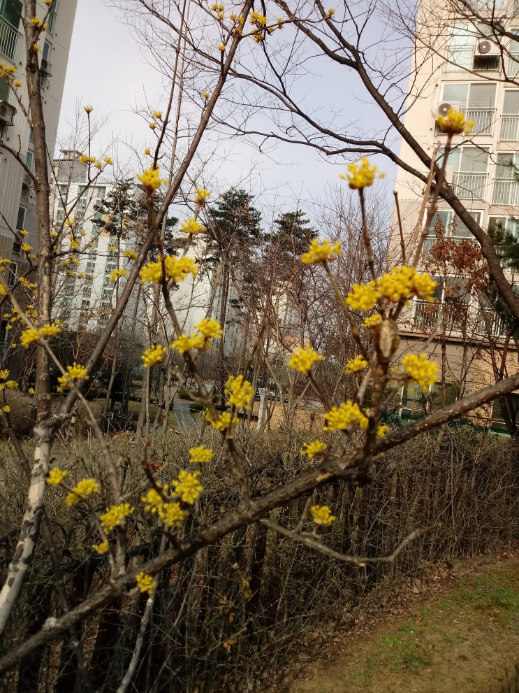  교육은 인적자원이 아니라 사람을 길러내는 일이다