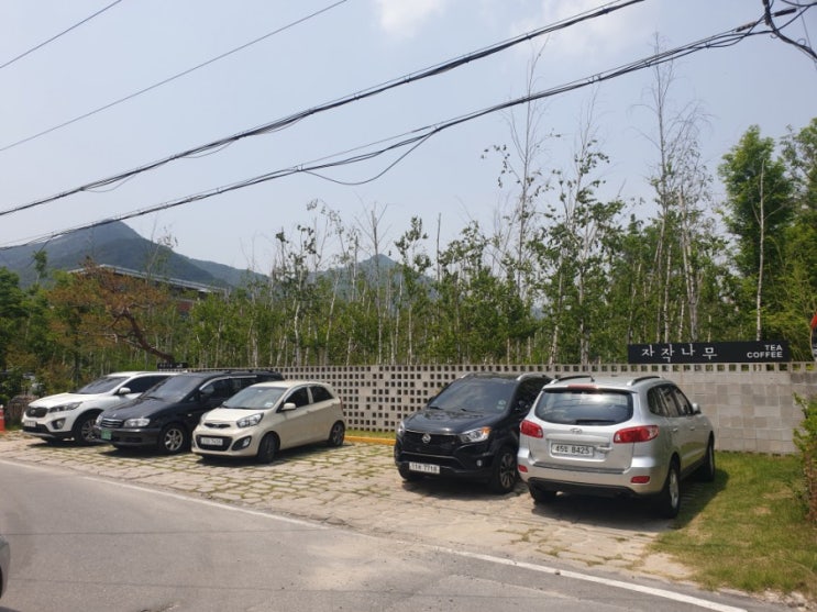  [자작나무 커피] 대전 현충원 근처 분위기 좋은 카페 "자작나무 커피"